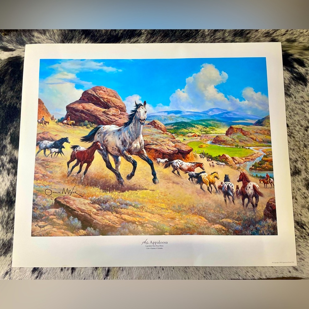 Orren Mixer “The Appaloosa” 20” x 24” Print